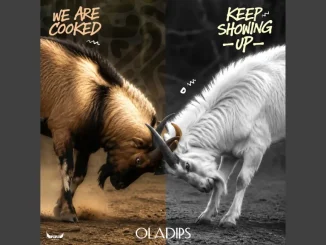 Oladips – We Are Cooked