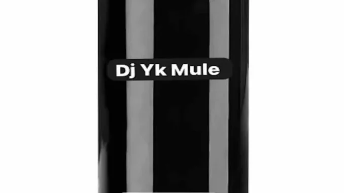 Dj Yk Mule – Blacks Energy Beat MP3 Download