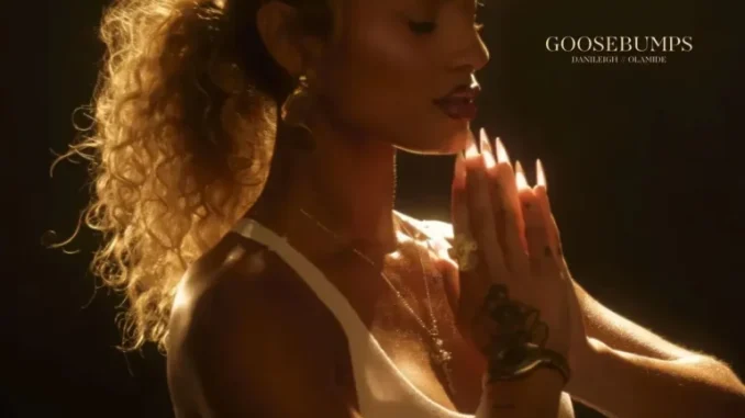 DaniLeigh Ft. Olamide – Goosebumps MP3 Download