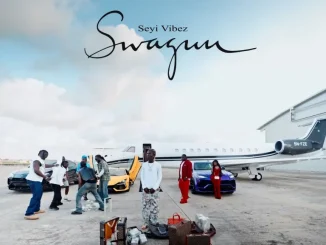 Seyi Vibez – Melanin