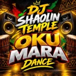 Dj Shaolin Temple - Oku Mara Dance MP3 Download Dj Shaolin mp3 download