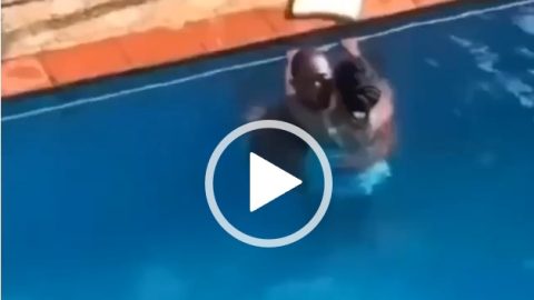 Ghanaian Couple Having Sex In The Pool