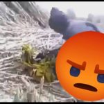 6749783559