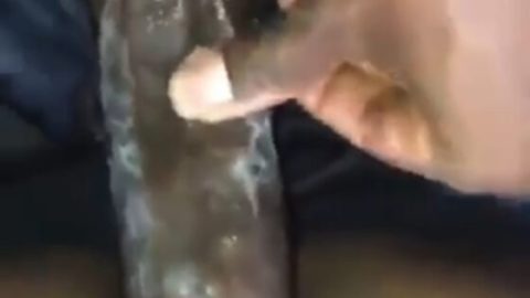 Abuja school of nursing girl gets fucked in the car