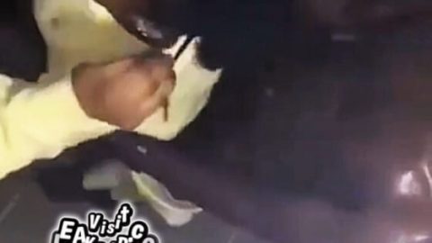 Two siblings caught fucking in the toilet